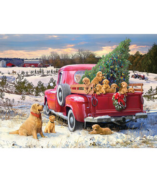 Family Outing Puzzle 1000pc