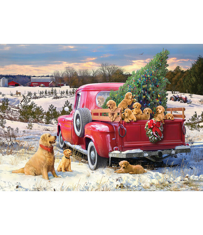 Family Outing Puzzle 1000pc