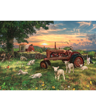 Field as Sunrise Puzzle 1000pc
