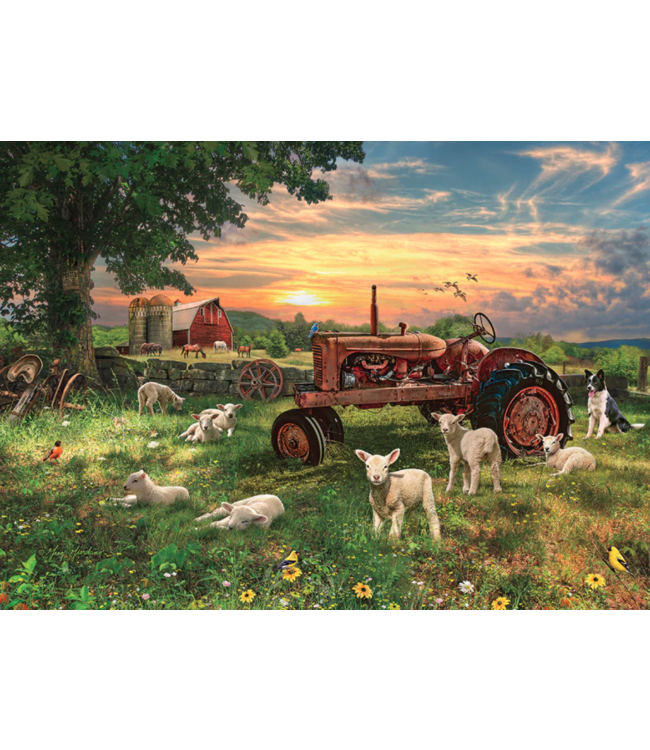 Field as Sunrise Puzzle 1000pc