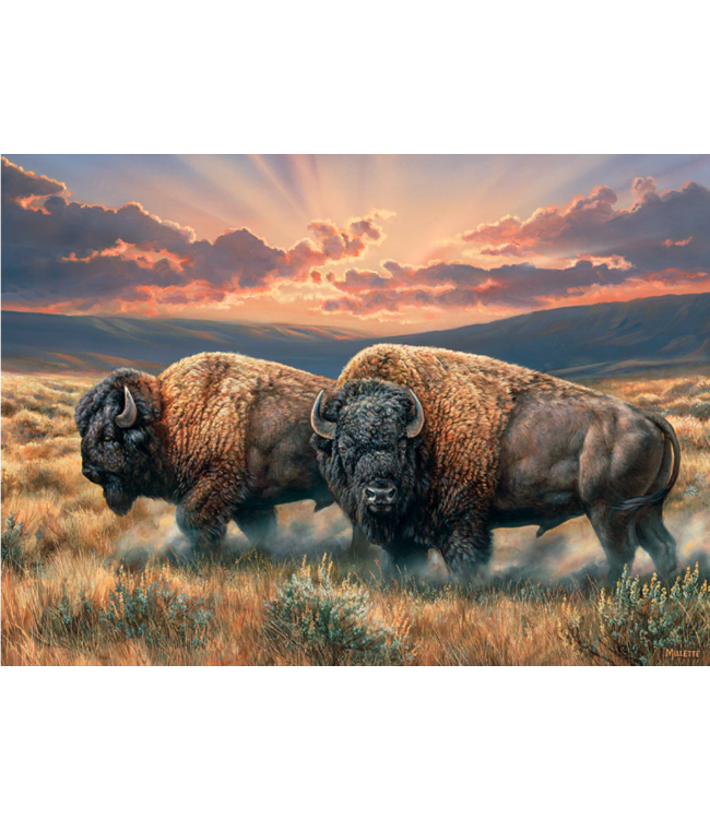Dusty Plains Puzzle 1000pc