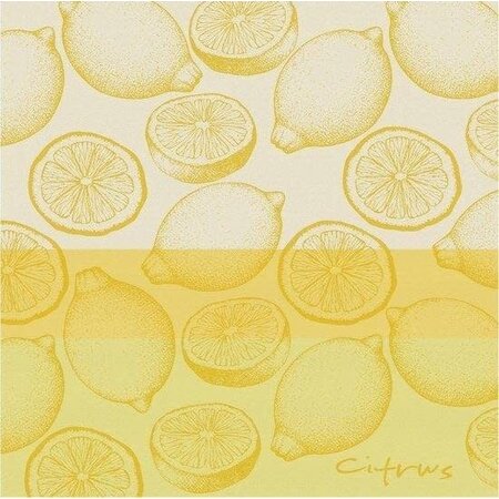 TEA Towel  Citrus Yellow DDDDD