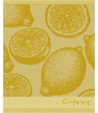 Hand Towel Citrus Yellow  DDDDD