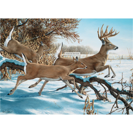 Breaking Cover Puzzle 1000pc
