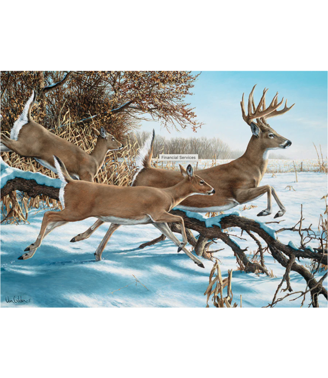 Breaking Cover Puzzle 1000pc