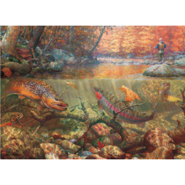 Autumn Dream Day Puzzle 1000pc