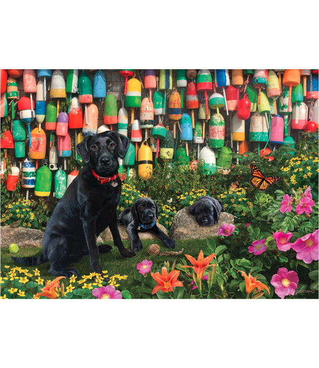 Good Buoys Puzzle 500pc
