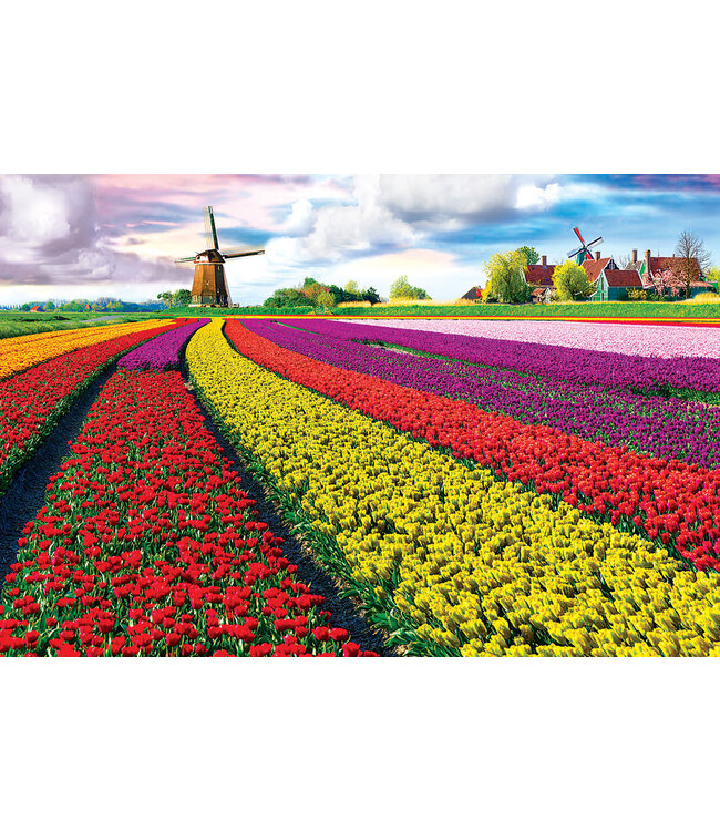 EuroGraphics Tulip Field Puzzle 1000pc