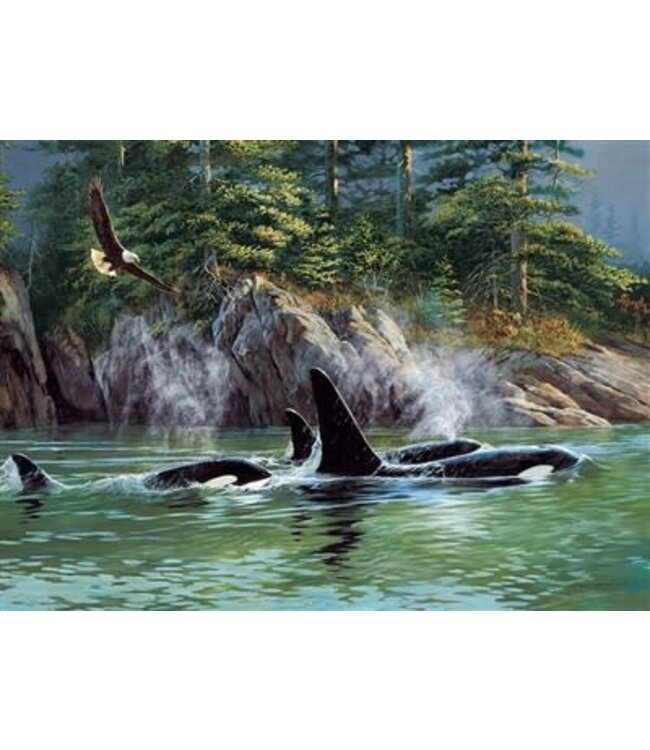 Orcas Puzzle 1000pc (LB)