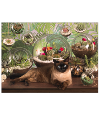 Terrarium Cat Puzzle 1000pc (LB)