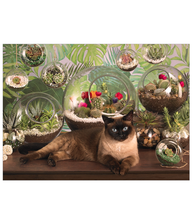 Terrarium Cat Puzzle 1000pc (LB)