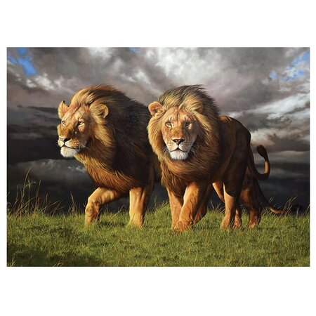 Approaching Storm Puzzle 1000pc