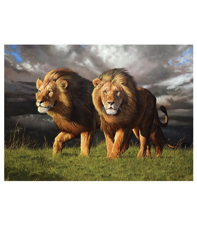 Approaching Storm Puzzle 1000pc