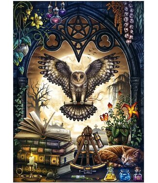 The Summons Puzzle 1000pc