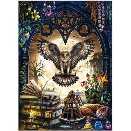 The Summons Puzzle 1000pc