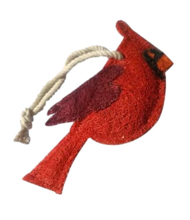 Cardinal Loofah