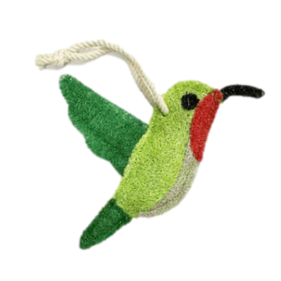 Hummingbird Loofah