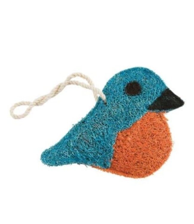 Bluebird Loofah