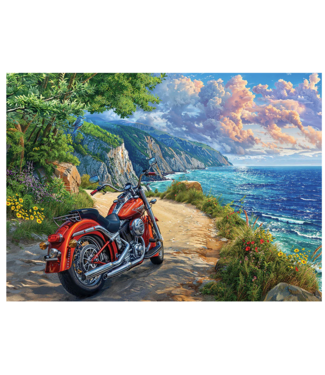 Arrived Puzzle 500pc