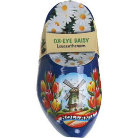 Wooden Shoe Flower Ox-Eye Daisy 10cm