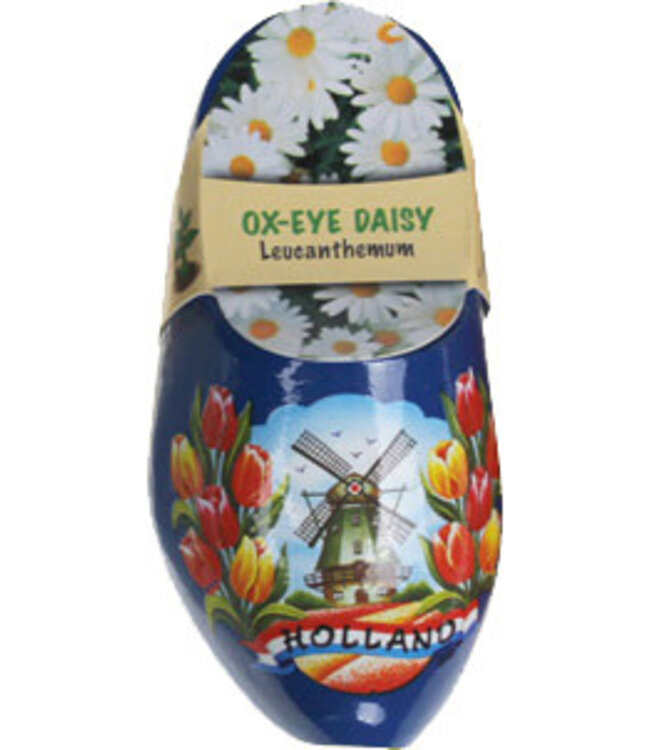 Wooden Shoe Flower Ox-Eye Daisy 10cm