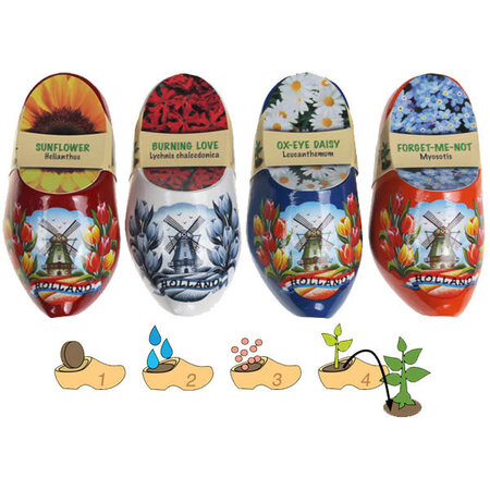 Wooden Shoe Flower Forget Me Not 10cm