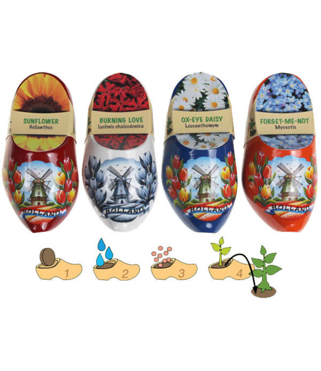 Wooden Shoe Flower Forget Me Not 10cm