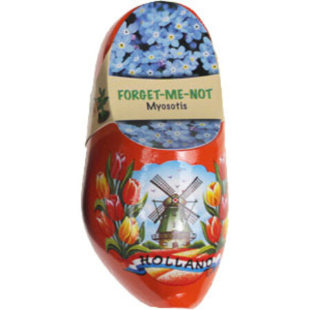 Wooden Shoe Flower Forget Me Not 10cm