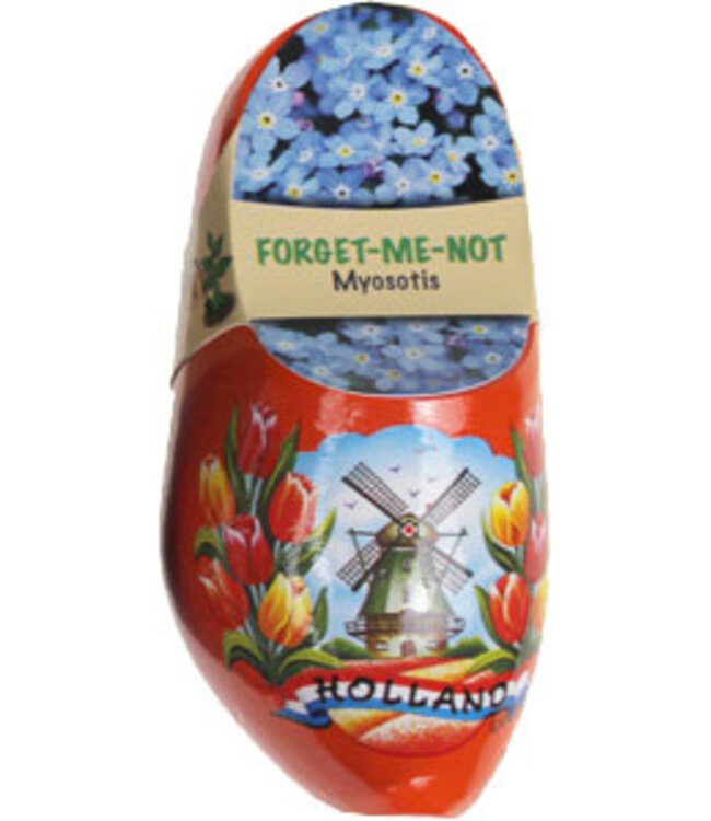 Wooden Shoe Flower Forget Me Not 10cm