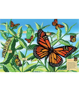 Life Cycle of a Monarch Butterfly  Floor Puzzle 48pc
