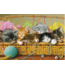 Kittens in Basket  Tray 35pc Puzzle