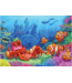 Clownfish Gathering Tray 35pc Puzzle