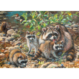 Raccoon Family Family Puzzle 350pc