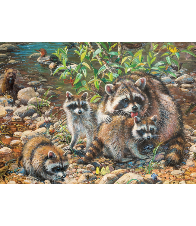 Raccoon Family Family Puzzle 350pc