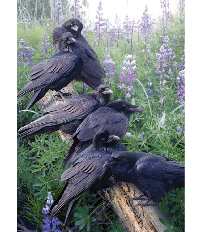 Raven Rendezvous Puzzle 1000pc (LB)