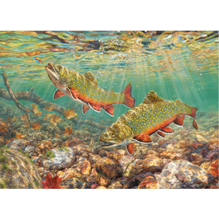 Brook Trout Puzzle 1000pc (LB)