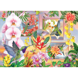 Hummingbird Magic Puzzle 500pc (LB)