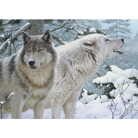 Breath of Winter Puzzle 500pc (LB)