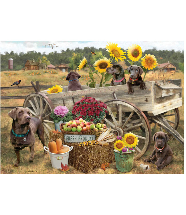 Choc Wagon Puzzle 500pc