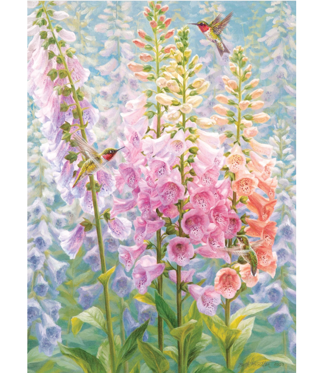 Summer Rainbow Puzzle 500pc