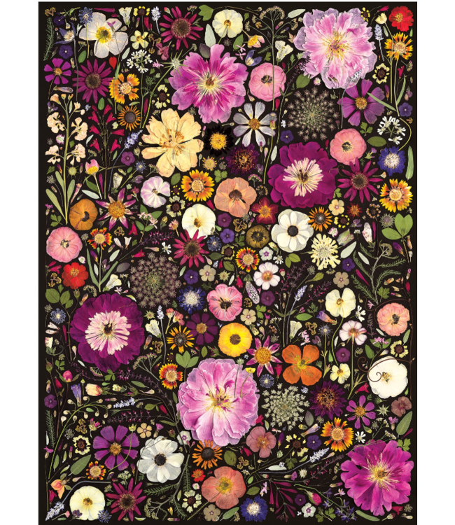 Flower Press: Little Hollow & Red Daisy Puzzle 500pc
