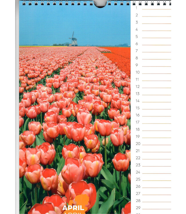 Holland Perpetual Birthday Calendar