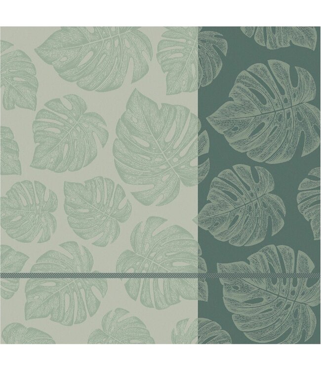TEA Towel Monstera Laurel  DDDDD