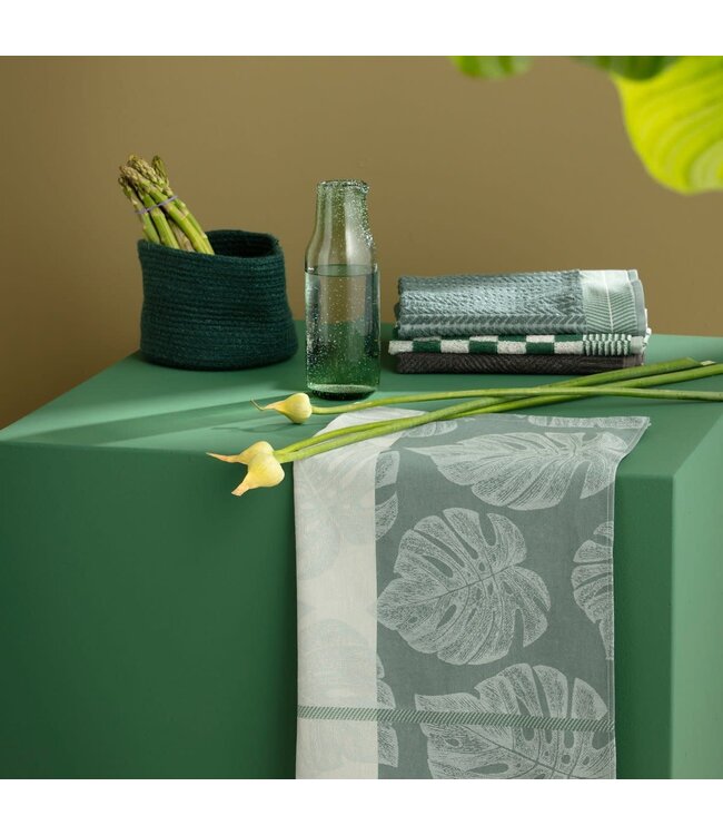 TEA Towel Monstera Laurel  DDDDD
