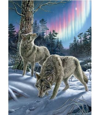 Northern Lights Puzzle 500pc