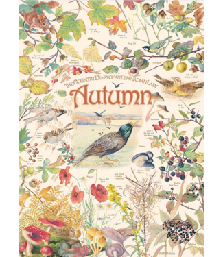 Country Diary: Autumn Puzzle 1000pc