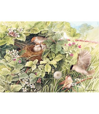 Hidden Nest Puzzle 1000pc
