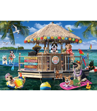Splash Zone Puzzle 500pc