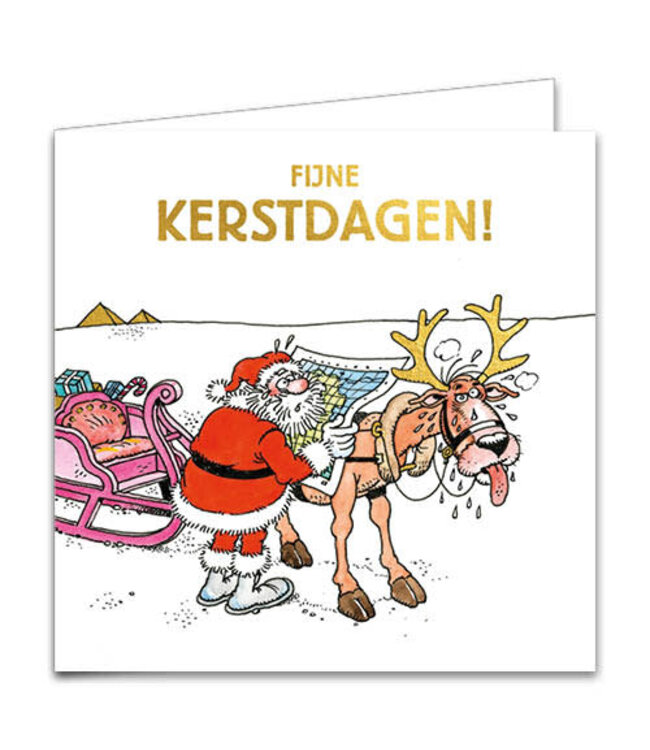 Piekfijne Feestdagen Cards - Set of 10