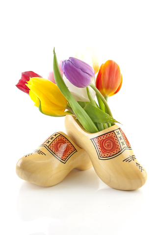 Coombs Wooden Shoe Dutch Import Store Ltd.